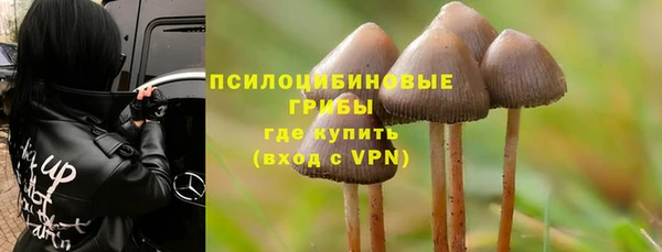 герыч Абаза