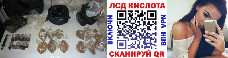 ЛСД экстази кислота  ОМГ ОМГ ССЫЛКА  Шенкурск 