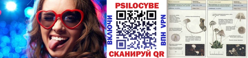 Псилоцибиновые грибы Psilocybine cubensis  mega зеркало  Шенкурск 