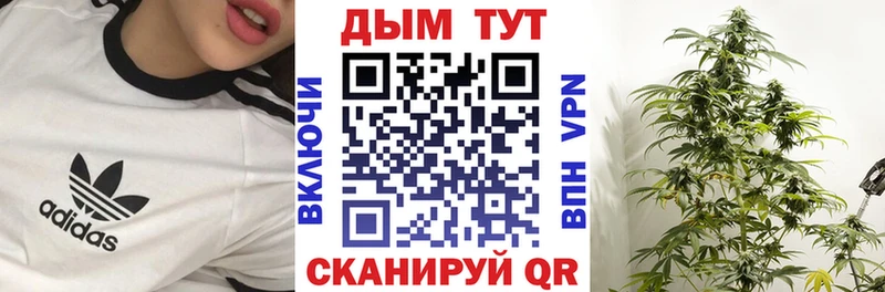 где можно купить наркотик Шенкурск Марихуана марихуана